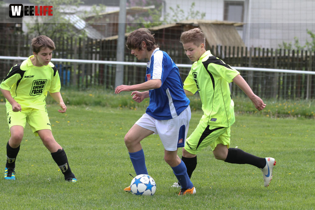 JFG Hochfranken Selb - SpVgg Bayern Hof II