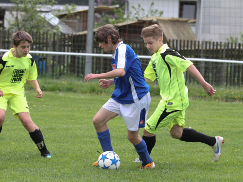 JFG Hochfranken Selb - SpVgg Bayern Hof II – Foto 31