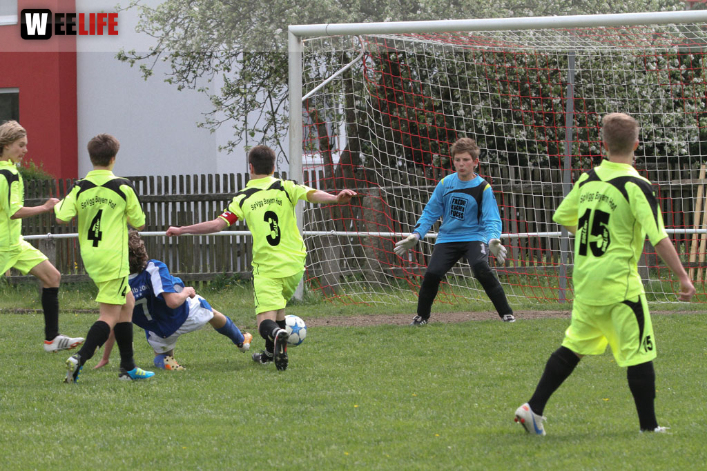 JFG Hochfranken Selb - SpVgg Bayern Hof II