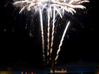 Foto 171293 im Album