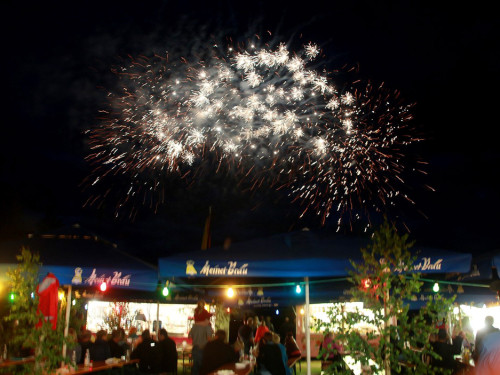 Berger BrilliantHochFeuerwerk Heimat- und Wiesenfest Berger Winkel – Foto 27