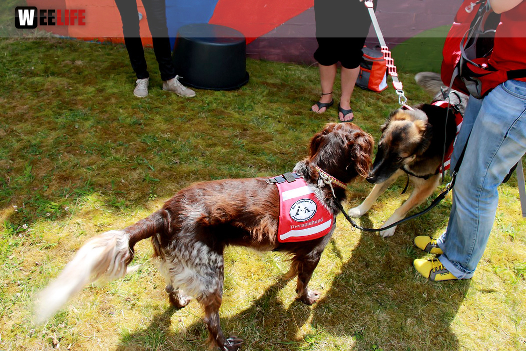 Sommerfest des BRK Seniorenheim