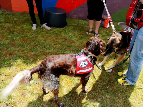Sommerfest des BRK Seniorenheim – Foto 21