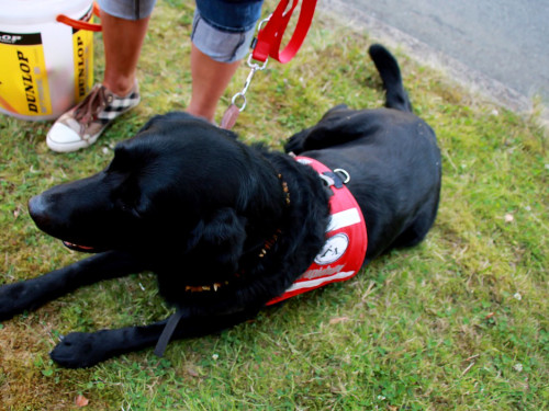 Sommerfest des BRK Seniorenheim – Foto 22