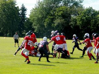 Foto 172359 im Album