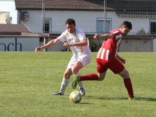 Foto 17263 im Album