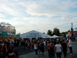Foto 172671 im Album