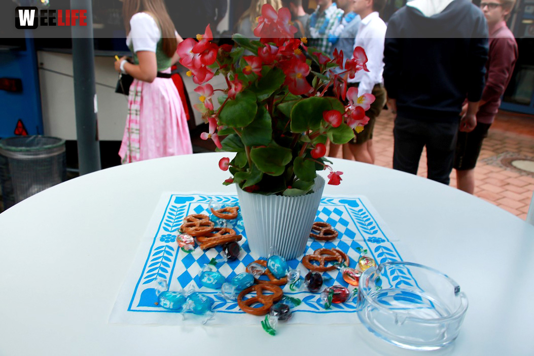 Sommerfest Hofmusikanten Dozentenband Campuslauf