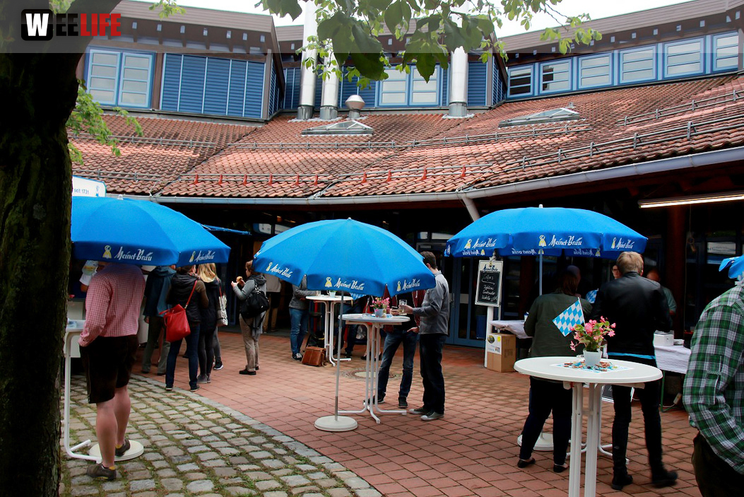 Sommerfest Hofmusikanten Dozentenband Campuslauf
