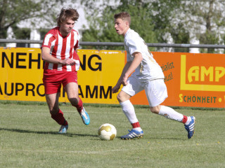 Foto 17290 im Album