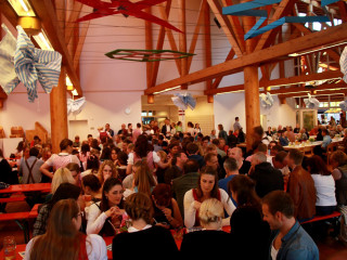 Foto 172912 im Album