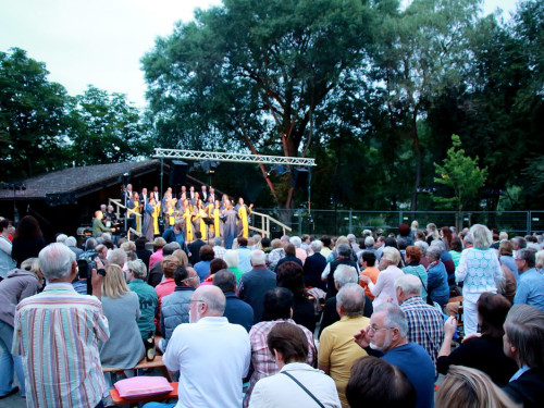 Sommerabend am Saaleufer mit Joy in Belief – Foto 3