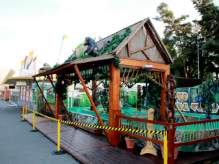 Foto 174202 im Album