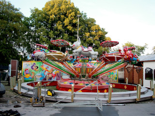 Foto 174221 im Album