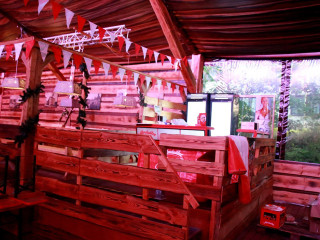 Foto 174265 im Album