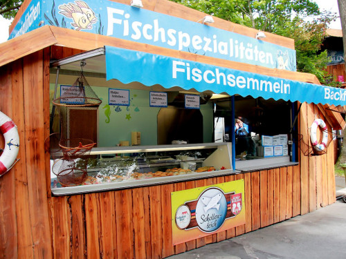 Hofer Volksfest 2016 Tag 1 Freitag Vorbereitung – Foto 23