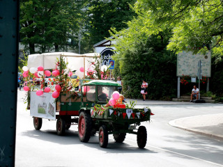 Foto 174811 im Album