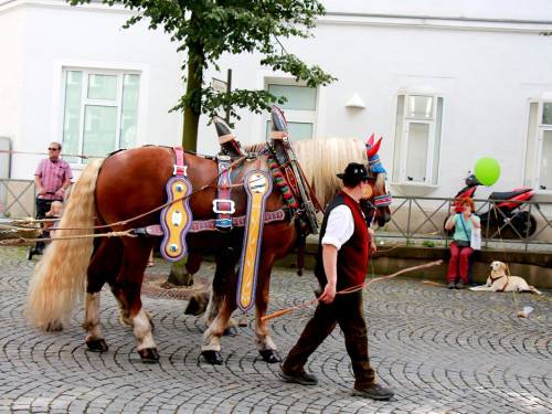 Hofer Volksfest 2016 Festzug Aufstellung – Foto 24