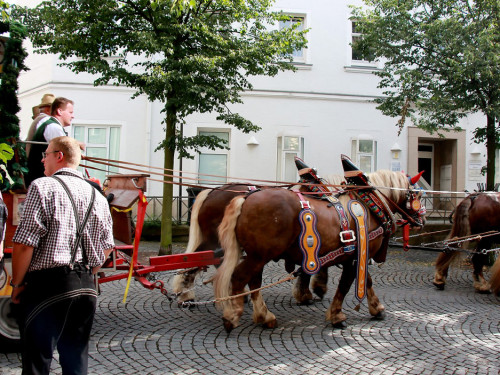 Hofer Volksfest 2016 Festzug Aufstellung – Foto 25