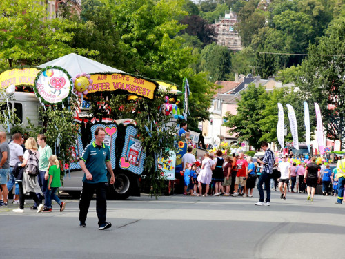 Hofer Volksfest 2016 Festzug Aufstellung – Foto 54