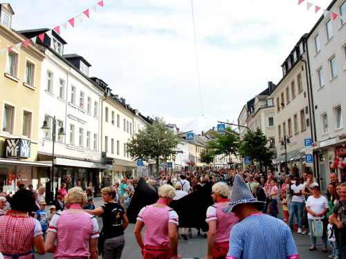Hofer Volksfest 2016 Festzug Zuschauer – Foto 32