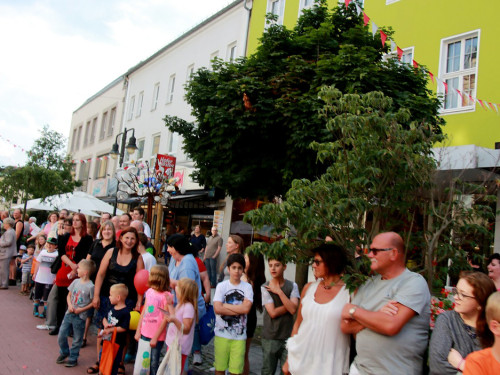 Hofer Volksfest 2016 Festzug Zuschauer – Foto 95
