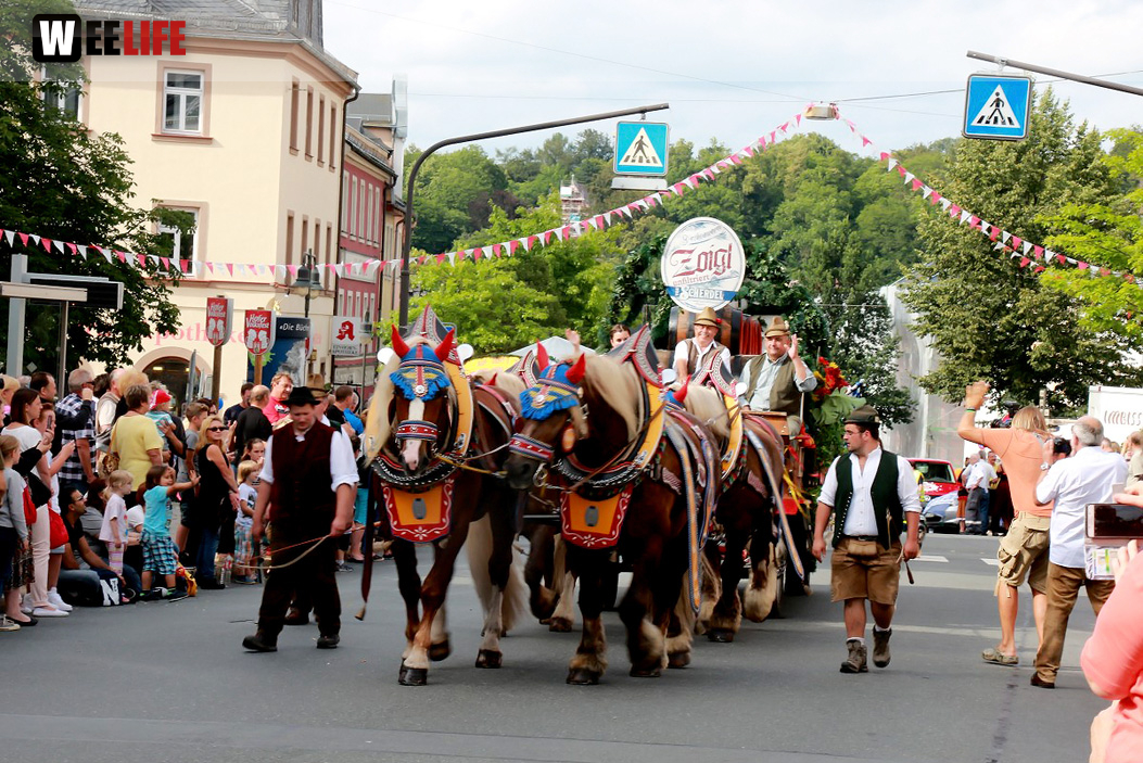 Hofer Volksfest 2016  Festzug Teil 1 29.7.16 