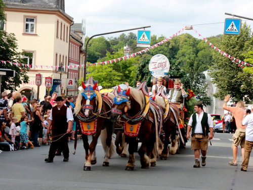 Hofer Volksfest 2016  Festzug Teil 1 29.7.16  – Foto 25