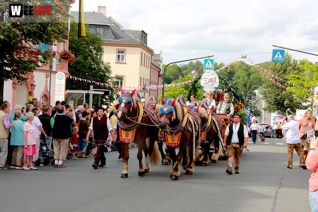 Hofer Volksfest 2016  Festzug Teil 1 29.7.16 