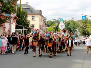 Foto 175173 im Album