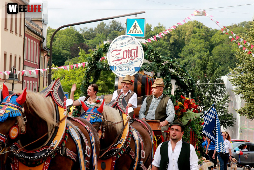 Hofer Volksfest 2016  Festzug Teil 1 29.7.16 