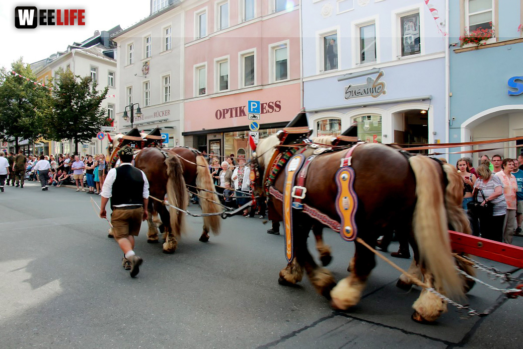 Hofer Volksfest 2016  Festzug Teil 1 29.7.16 