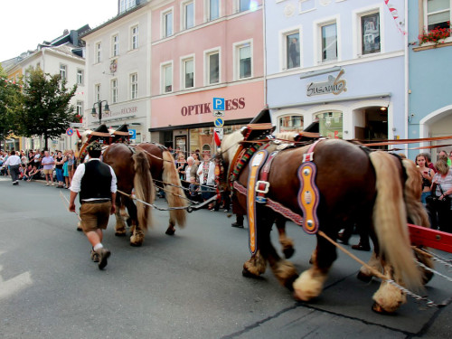 Hofer Volksfest 2016  Festzug Teil 1 29.7.16  – Foto 29