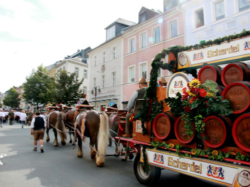 Hofer Volksfest 2016  Festzug Teil 1 29.7.16  – Foto 30