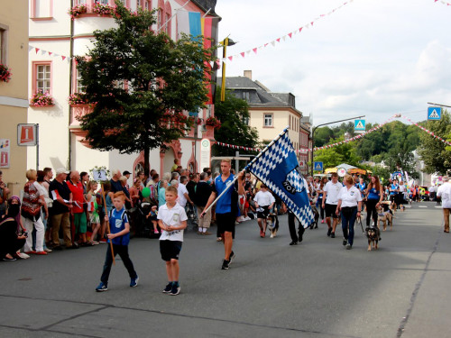 Hofer Volksfest 2016  Festzug Teil 1 29.7.16  – Foto 31