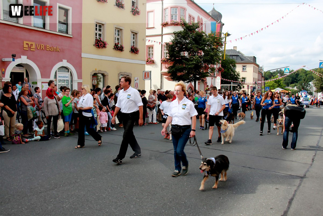 Hofer Volksfest 2016  Festzug Teil 1 29.7.16 