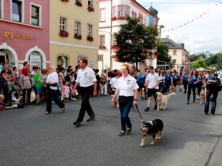 Vorschau des vorherigen Fotos
