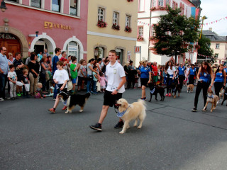 Foto 175180 im Album
