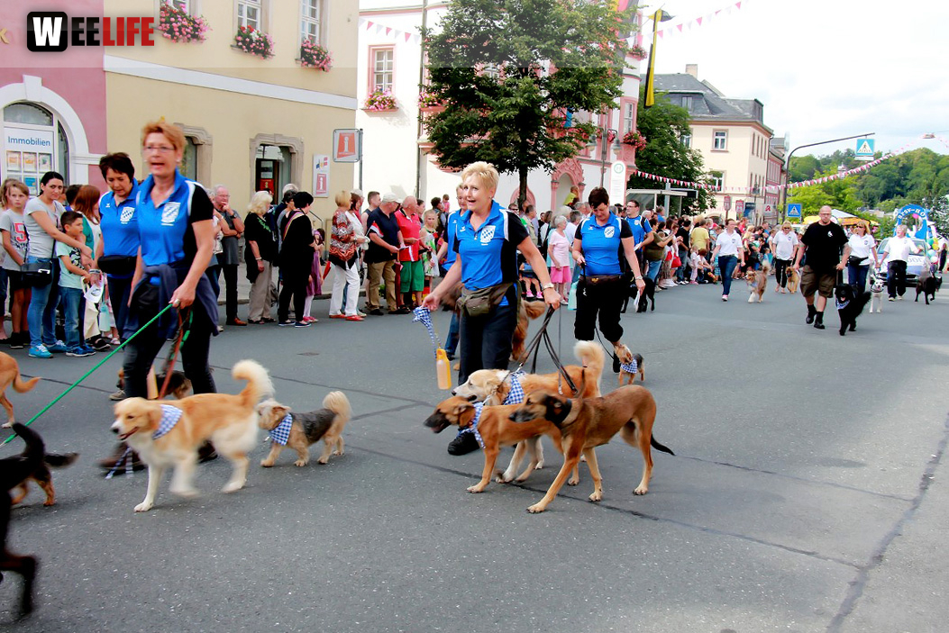 Hofer Volksfest 2016  Festzug Teil 1 29.7.16 