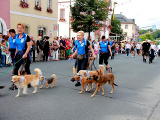 Vorschau des nächsten Fotos