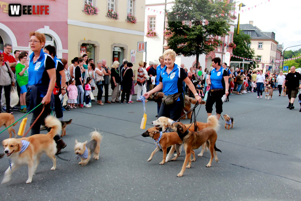 Hofer Volksfest 2016  Festzug Teil 1 29.7.16 
