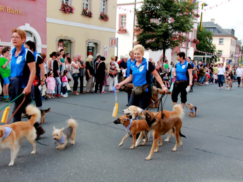 Hofer Volksfest 2016  Festzug Teil 1 29.7.16  – Foto 35