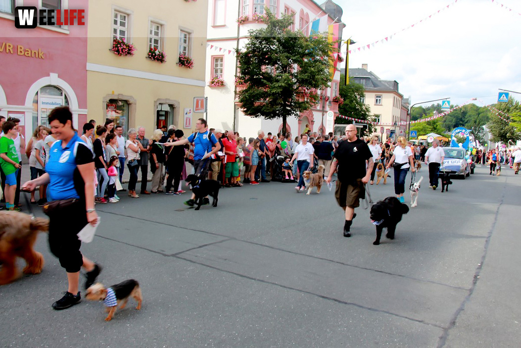 Hofer Volksfest 2016  Festzug Teil 1 29.7.16 