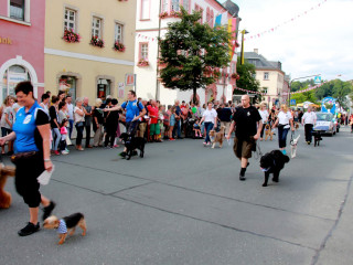Foto 175184 im Album