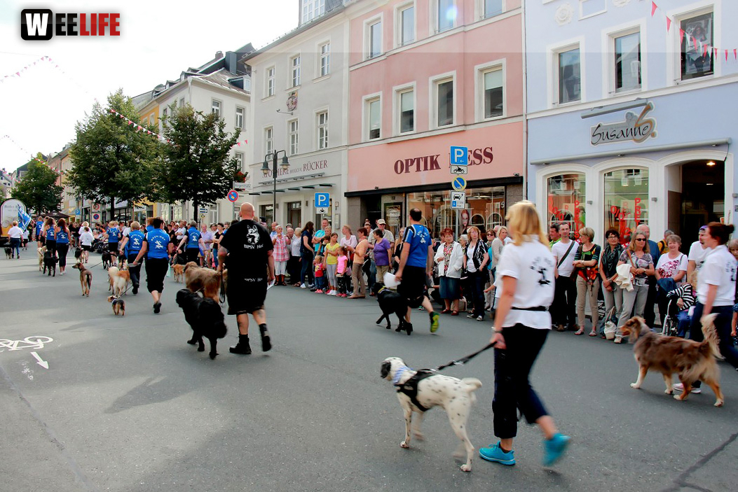 Hofer Volksfest 2016  Festzug Teil 1 29.7.16 