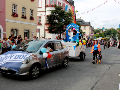 Hofer Volksfest 2016  Festzug Teil 1 29.7.16  – Foto 39