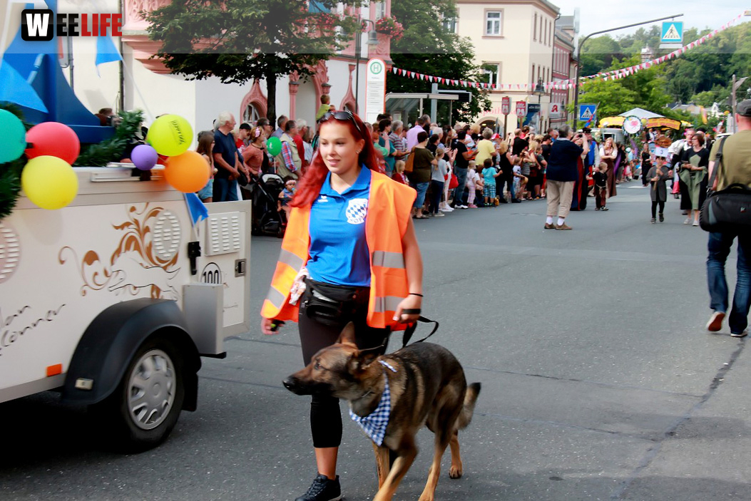 Hofer Volksfest 2016  Festzug Teil 1 29.7.16 