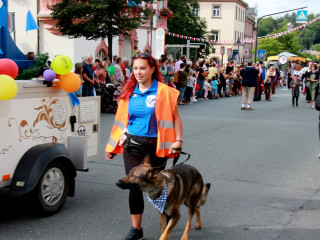 Vorschau des nächsten Fotos