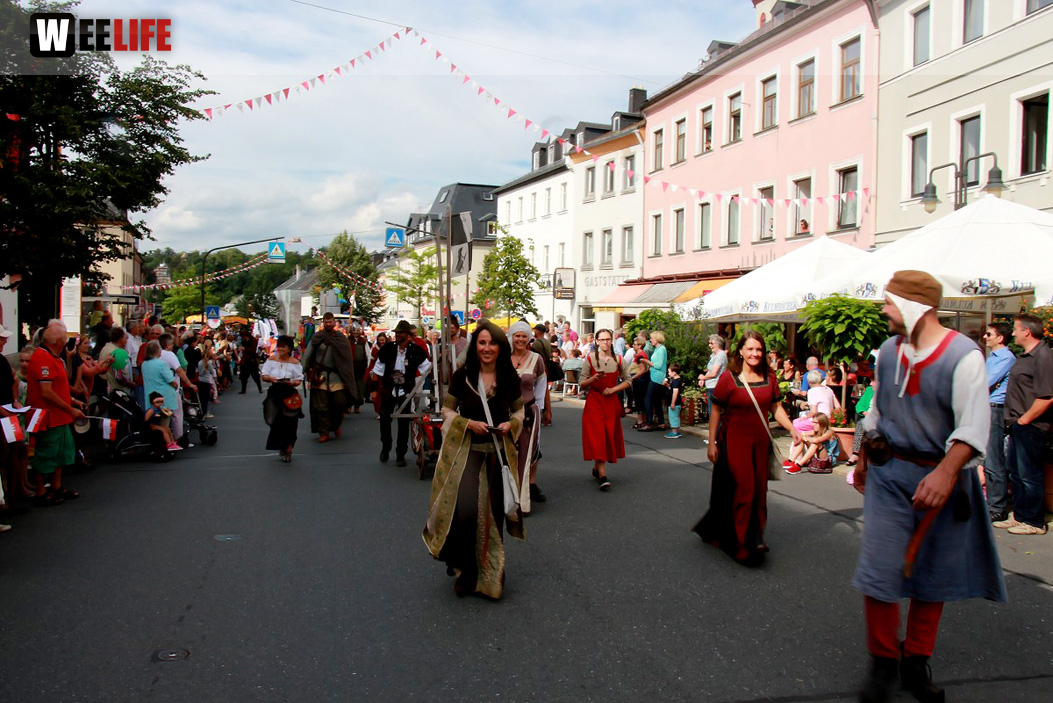 Hofer Volksfest 2016  Festzug Teil 1 29.7.16 