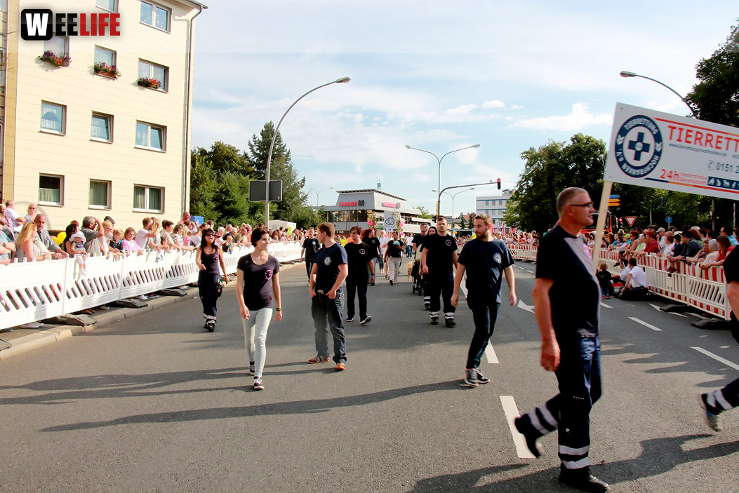 Hofer Volksfest 2016  Festzug Teil 3 29.7.16 